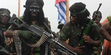 Kekerasan separatis OPM di Papua Jadi Fokus Komnas HAM