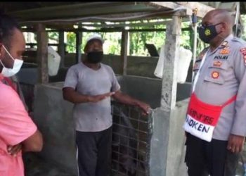 Sinergitas Polri – Petani di Mimika : Bikin Hasil Pertanian Meningkat