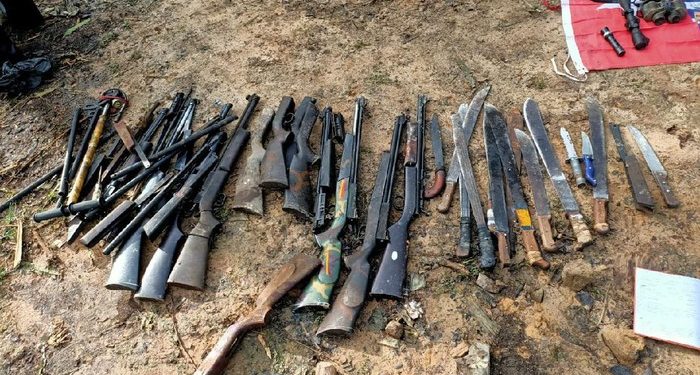 PAN pakai istilah teroris KKB Papua: TNI-Polri jangan lembek!