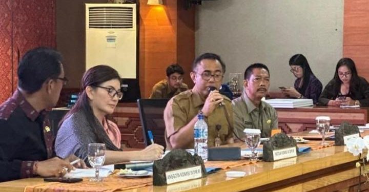 DPR: Perlindungan Jaminan Kesehatan di Denpasar Sudah Baik