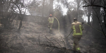 Kebakaran Hebat di Israel Berhasil Dikendalikan Setelah 30 Jam, Dugaan Penyebab Masih Diselidiki