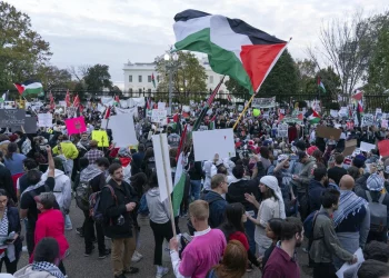 Ribuan Aktivis Dunia Bergerak Menuju Gaza, Desak Penghentian Agresi Israel