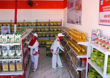 peluncuran-koperasi-merah-putih-di-sulsel-1753106857_ratio-16x9