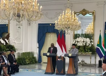 Kerja Sama Strategis RI-Afrika Selatan Disepakati, Fokus Perdagangan hingga Pertahanan