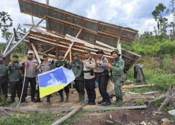 Konflik Tesso Nilo Memanas: Duduk Perkara Penertiban Hutan yang Menjepit Ribuan Warga