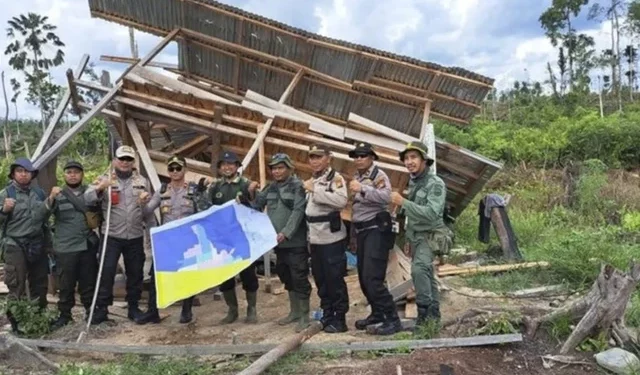 Konflik Tesso Nilo Memanas: Duduk Perkara Penertiban Hutan yang Menjepit Ribuan Warga