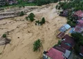 1,4 Juta Hektar Hutan Hilang! Walhi Sebut Banjir Sumatera adalah Akumulasi Deforestasi Parah