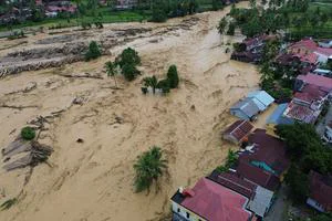 1,4 Juta Hektar Hutan Hilang! Walhi Sebut Banjir Sumatera adalah Akumulasi Deforestasi Parah