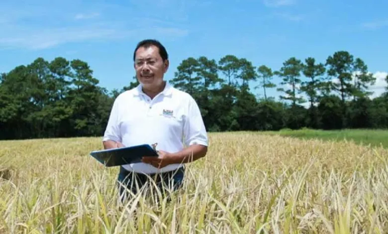 Alumnus Universitas Brawijaya Ciptakan Beras Tinggi Protein Pertama di Amerika Serikat
